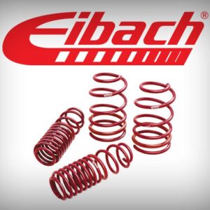 Arcuri sport Seat Leon 1P Eibach Sportline